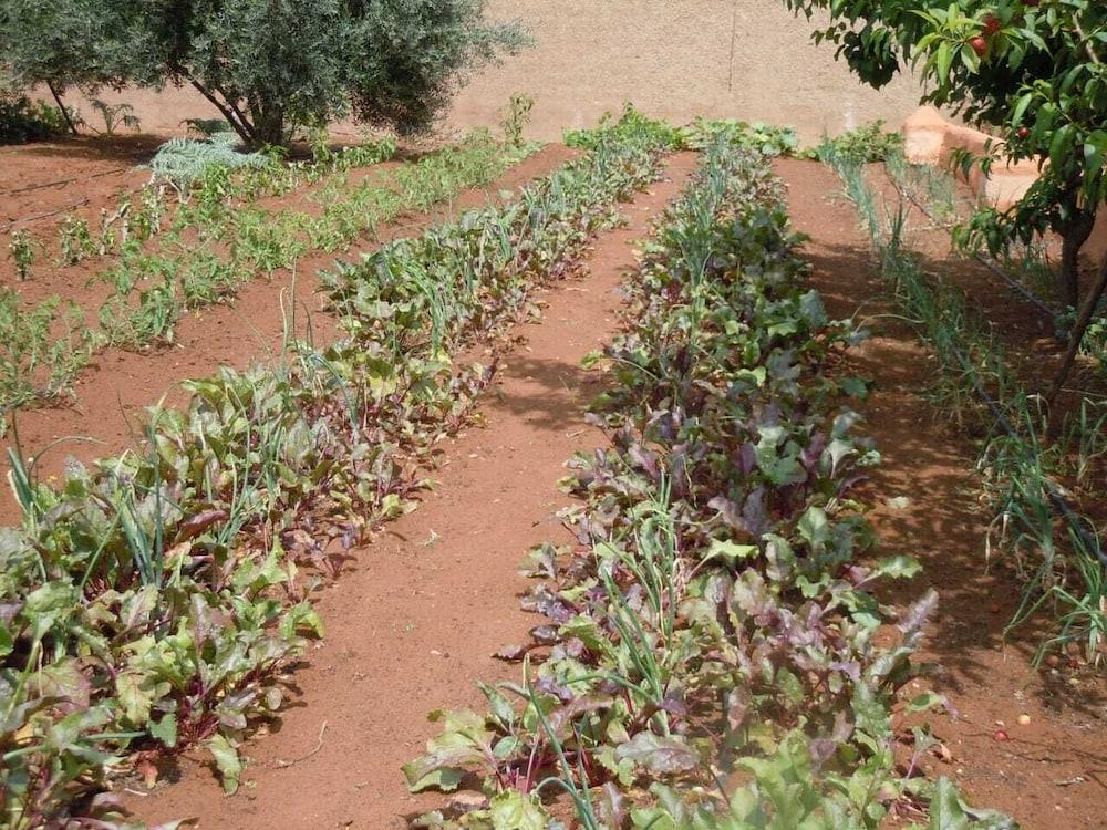 טרודאנט Riad Jnane Ines מראה חיצוני תמונה