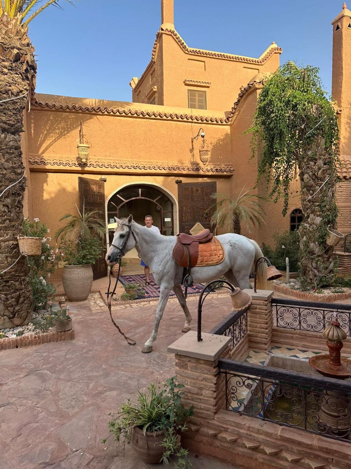 טרודאנט Riad Jnane Ines מראה חיצוני תמונה